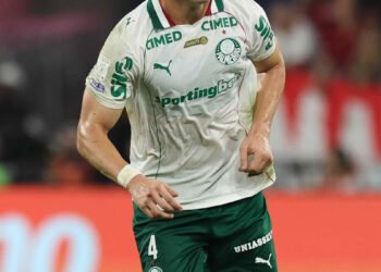 palmeiras