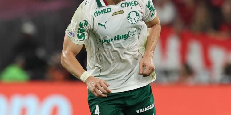 palmeiras