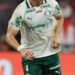 palmeiras