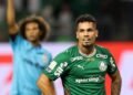 Paulinho Palmeiras