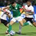 Palmeiras sao paulo