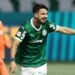 Palmeiras flaco lopez