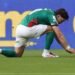 Mauricio palmeiras