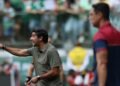 palmeiras abel ferreira