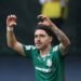 Palmeiras