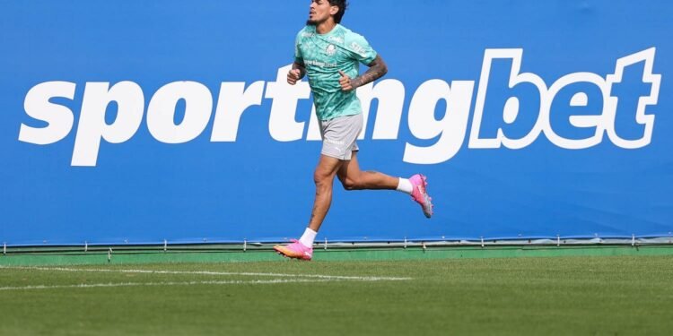 palmeiras gustavo gomez