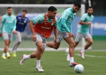 palmeiras