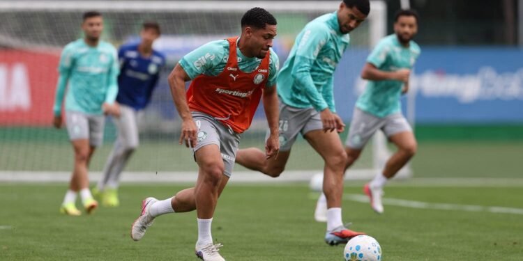 palmeiras