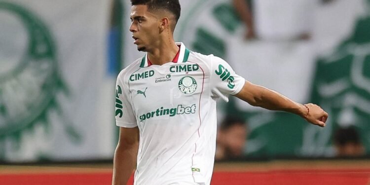 Palmeiras arthur