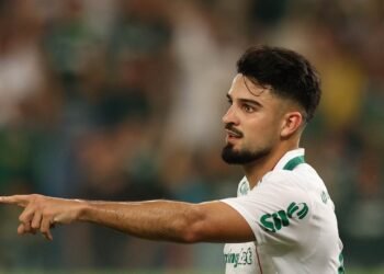 palmeiras