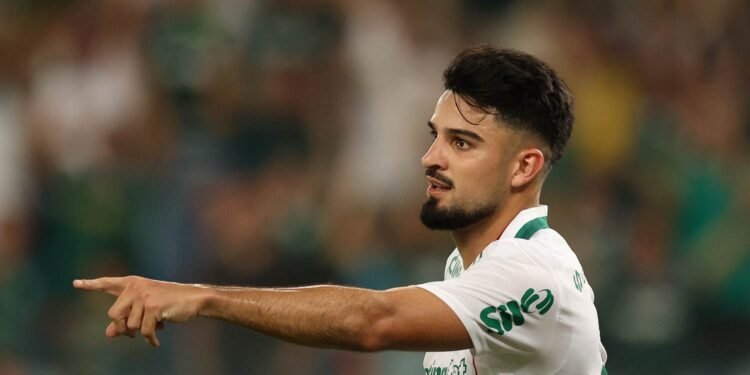 palmeiras
