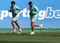 Palmeiras