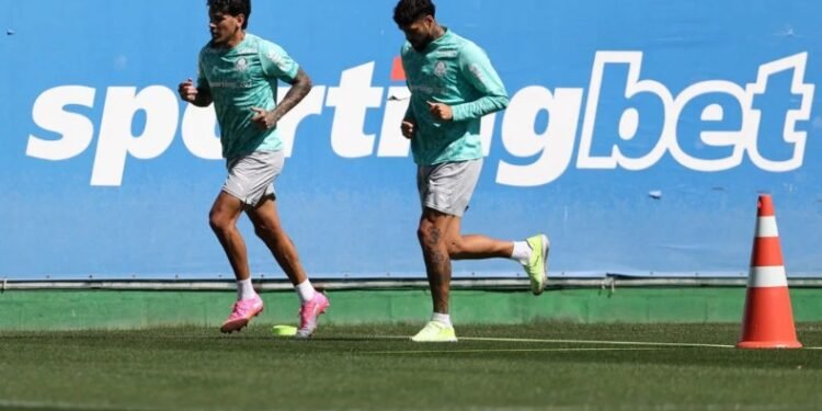 Palmeiras