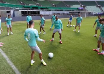 Palmeiras