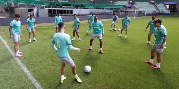 Palmeiras