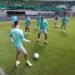 Palmeiras