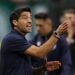 abel ferreira palmeiras