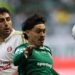 palmeiras