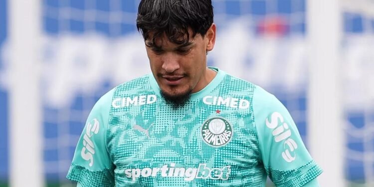 Palmeiras