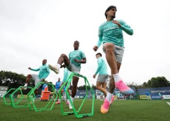 Palmeiras