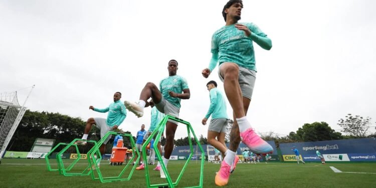 Palmeiras