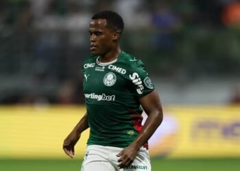 palmeiras arias