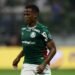 palmeiras arias