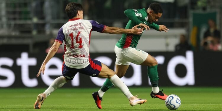 Palmeiras