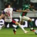 Palmeiras