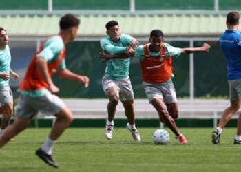 Palmeiras