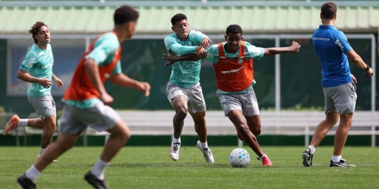 Palmeiras