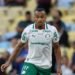 marlon freitas palmeiras