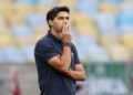 Palmeiras abel ferreira