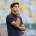 Palmeiras abel ferreira