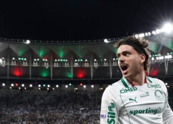 Palmeiras maurício