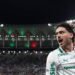 Palmeiras maurício