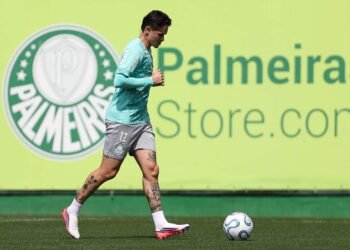 palmeiras