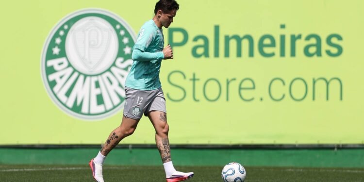 palmeiras