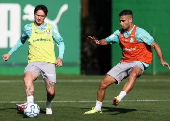 Palmeiras