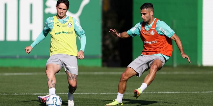 Palmeiras