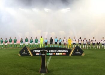 palmeiras