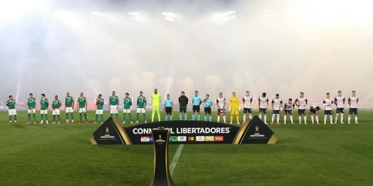 palmeiras