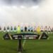 palmeiras