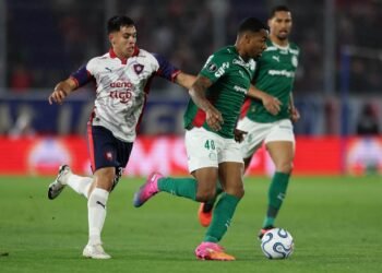 Palmeiras allan