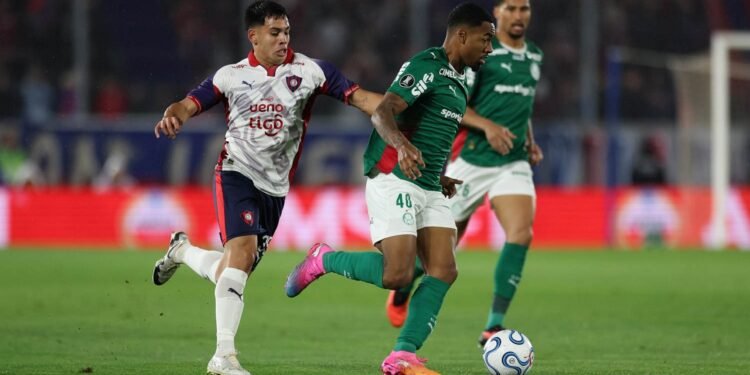 Palmeiras allan