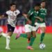 Palmeiras allan