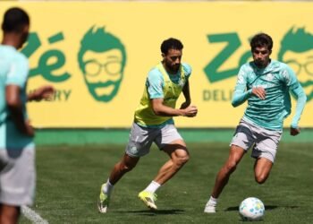 Palmeiras