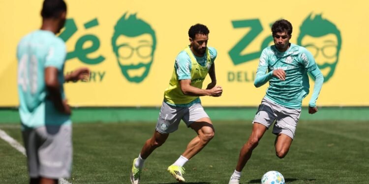 Palmeiras