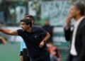 palmeiras abel ferreira