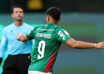 Palmeiras